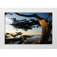 thumbnail image 3 of Alan Hausenflock 4x24 White Modern Wood Framed Wall Art Titled - Carmel Sunset II, 3 of 5