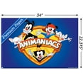 thumbnail image 3 of Animaniacs - Shield Wall Poster, 22.375" x 34", 3 of 3