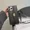 Black, variant on ZHaobin Luxury Wallet Crossbody Phone Case for iPhone 15 14 Plus 11 12 13 Pro Max Plus Card Slot Holder Stand Long Lanyard Leather Cover (Khaki,For iPhone 13 ProMax)