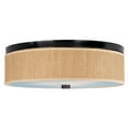 thumbnail image 2 of ET2 Lighting E95004-100SN 3 Light Elements Flush Mount Ceiling Light, 2 of 2
