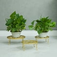 thumbnail image 4 of HEALEEP Base Para Macetas En Hierro Dorado Resistente Para Almacenar Y Exhibir Plantas Suculentas, 4 of 8