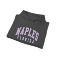 thumbnail image 4 of Naples Florida Trip Vacation Hoodie Gift Hooded Sweatshirt Pullover Shirt, 4 of 4