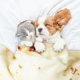 thumbnail image 4 of Zulay Kitchen Tortilla Blanket Wrap for Babies & Toddlers - Novelty Blanket Throw, 47 Inch x 47 Inch, 4 of 4