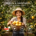 thumbnail image 5 of Gya Tea Co Lemon Ginger Herbal Tea Bags (50 Bags) - Natural Decaf Tea Rich in Nutrition for Digestive Health & Nourish - Fruit & Herbal Blends, 5 of 8