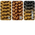 thumbnail image 3 of RastAfri Tiki Curl Single Pack COLOR 27, 3 of 3