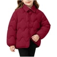 thumbnail image 3 of Abtuhar Children Fall Winter Hooded Casual Outerwear and Jackets Winter Reversible Lapel Padded Coat for 1‑15 Years, 3 of 5