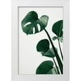 thumbnail image 1 of Artographie Studio 11x14 White Modern Wood Framed Museum Art Print Titled - Monstera Natural 38, 1 of 4