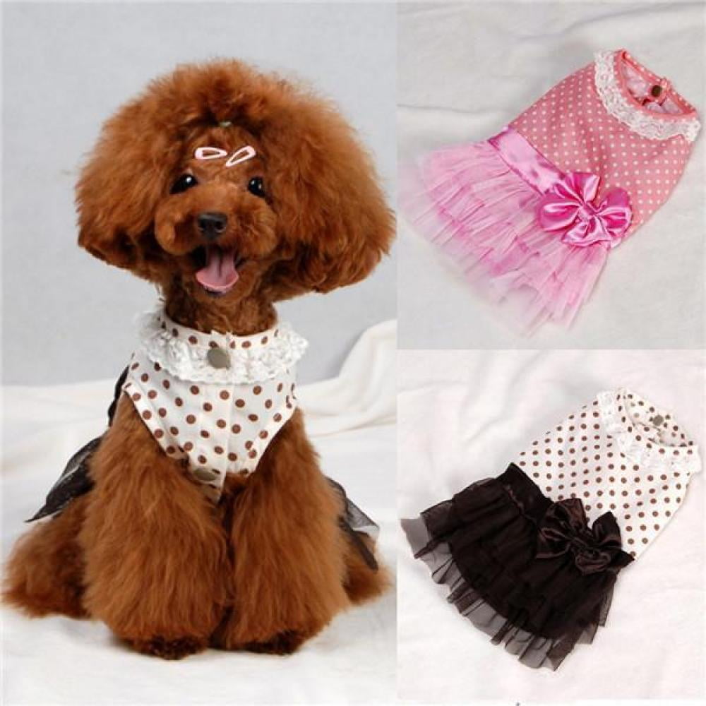 Dog dress price Clearance