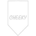 thumbnail image 2 of Pet and Dog Bandana Rhinestone, "Cheeky", 2 of 10