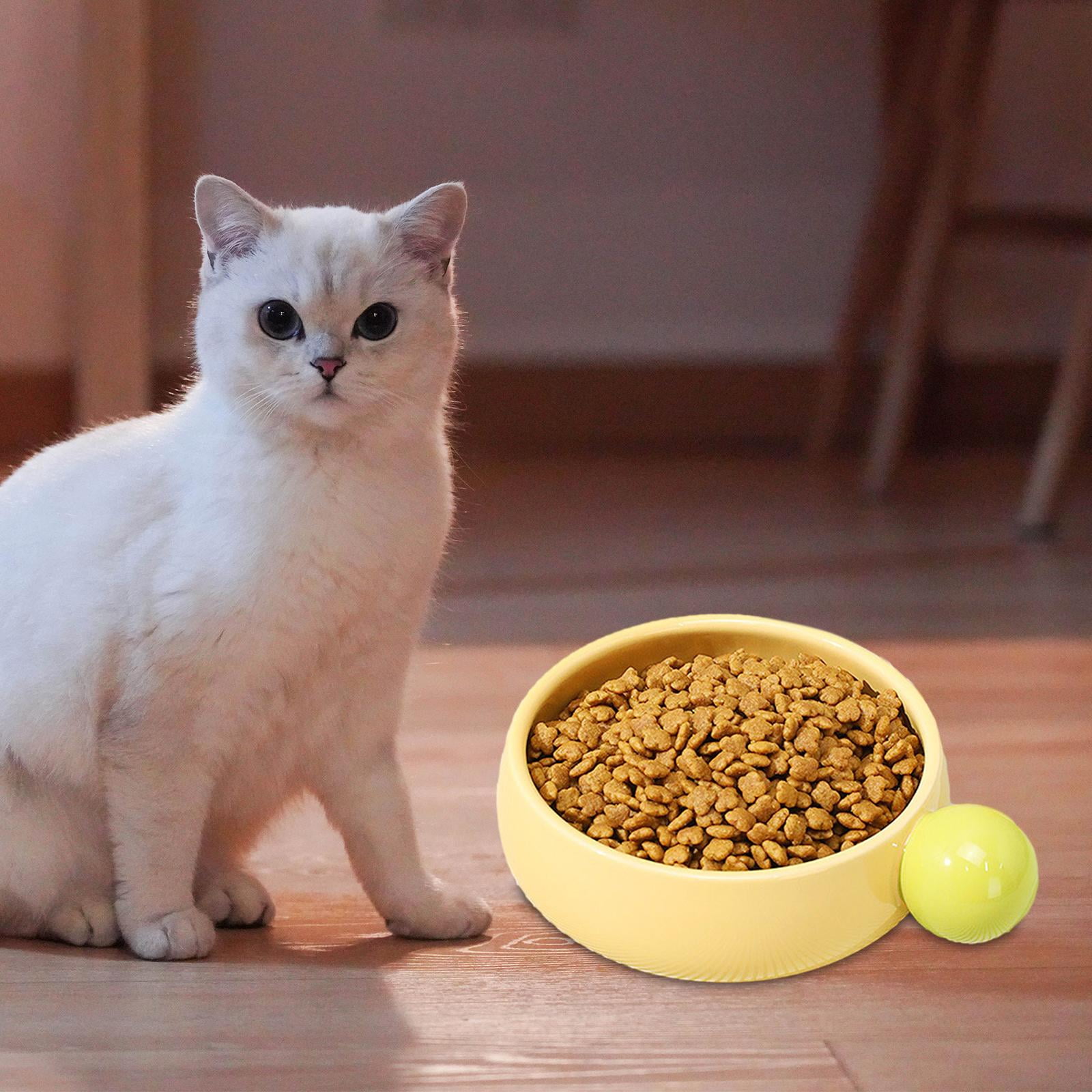 Bvdfgk Ceramic Cat Bowl Portable No Black Chin Non Slip Pet Puppy Kitten Bowl for Faced Yellow