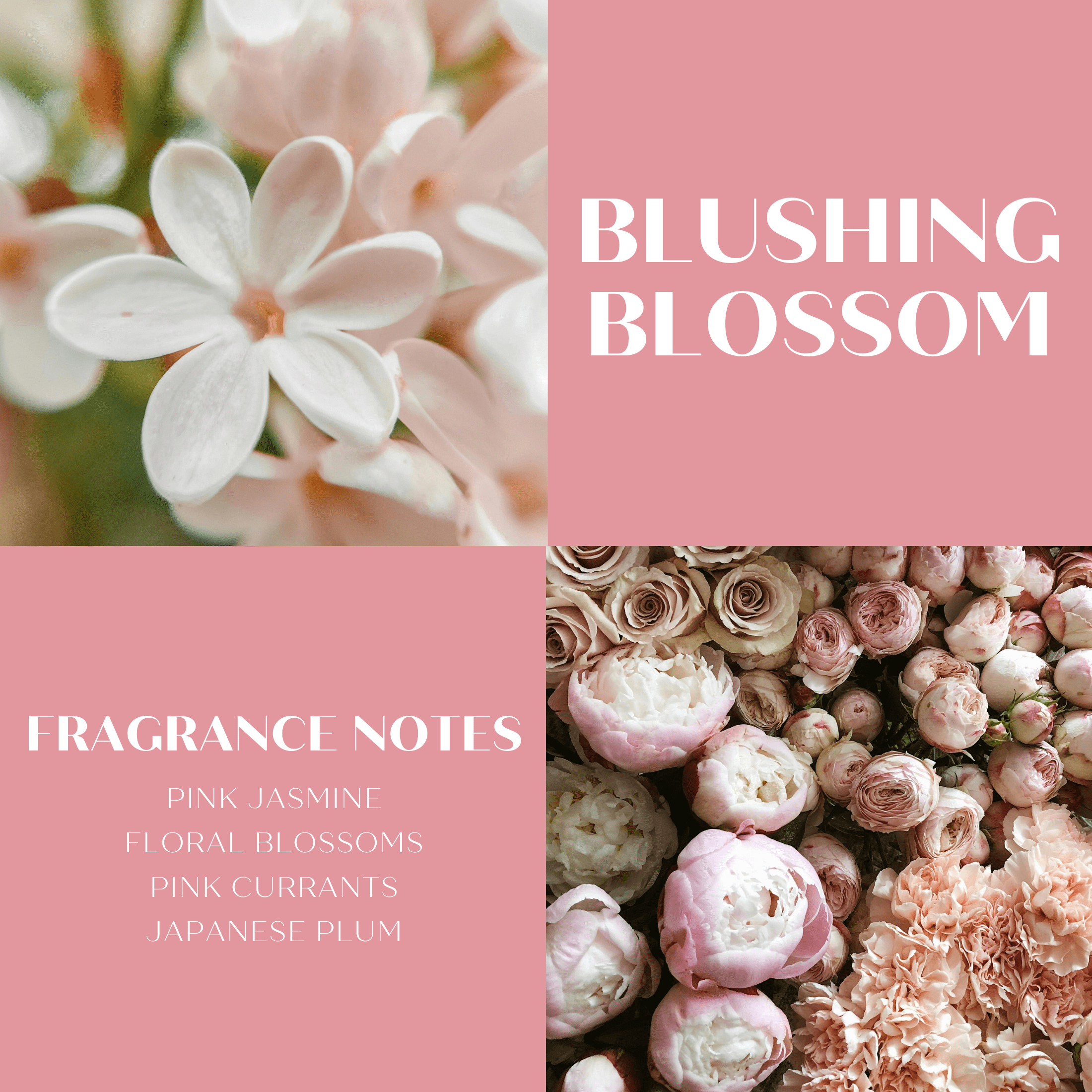 Scentworx 14.5 oz Blushing Blossoms 3-Wick Jar Candle by Slatkin & Co