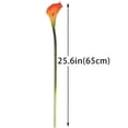 thumbnail image 3 of Artificial Flowers Calla Lilly 25.6'' Large Latex Fake Bouquet Soft Real Touch Long Stem Plants 5 Pcs for Home,Living Room,Bedroom,Dining Table,Office,Weddings Party Garden Decor(White), 3 of 5