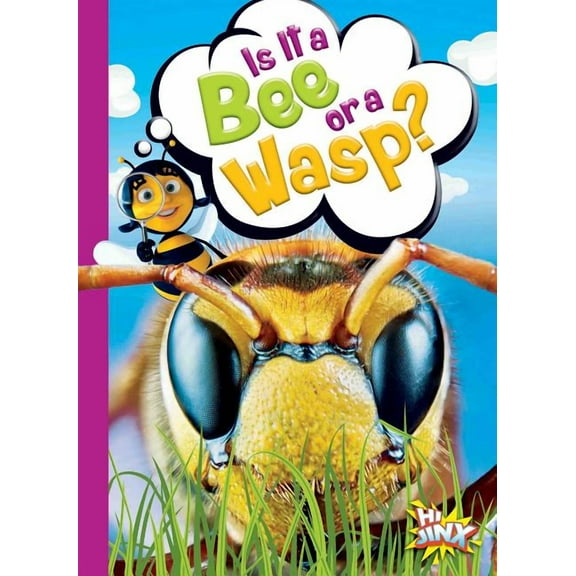 Can You Tell the Difference?: Is It a Bee or a Wasp? (Paperback)