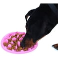 thumbnail image 1 of Cuenco de silicona antideslizante y antiglotón sin borde, juguete para perros y gatos sin BPA, para una alimentación saludable y una digestión lenta, 1 of 5