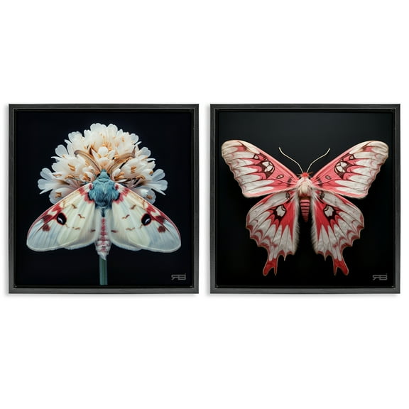 Stupell Industries Detailed Pink Moths Flower Animals Painting Black Floater Framed Canvas Art Print Wall Art, 18 x 18, Set of 2