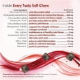 thumbnail image 4 of Joint MAX Triple Strength Granules (120 Doses), 4 of 7