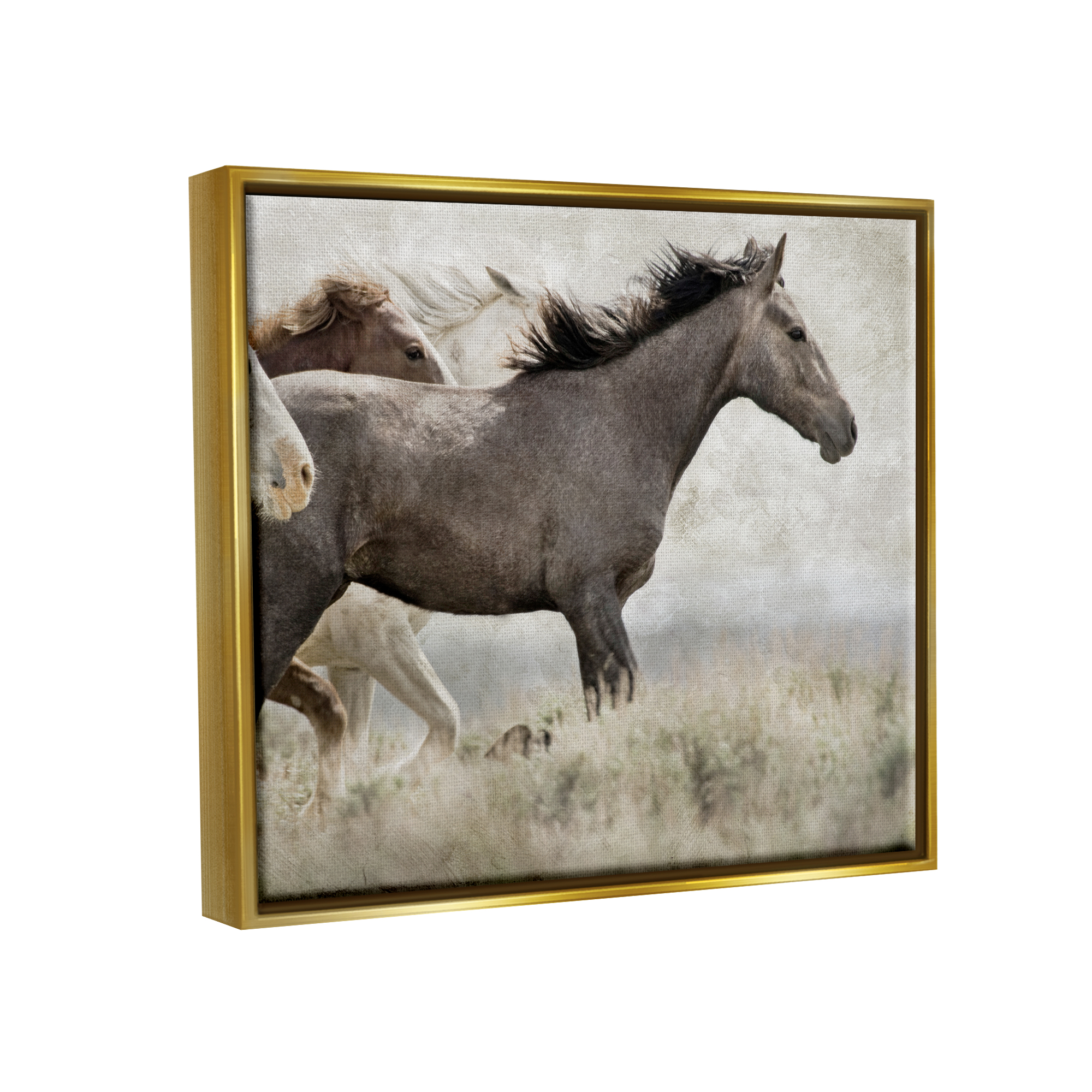 Stupell Industries Galloping Horse Herd Photography Animals & Insects Photography Gold Floater Framed Art Print Wall Art