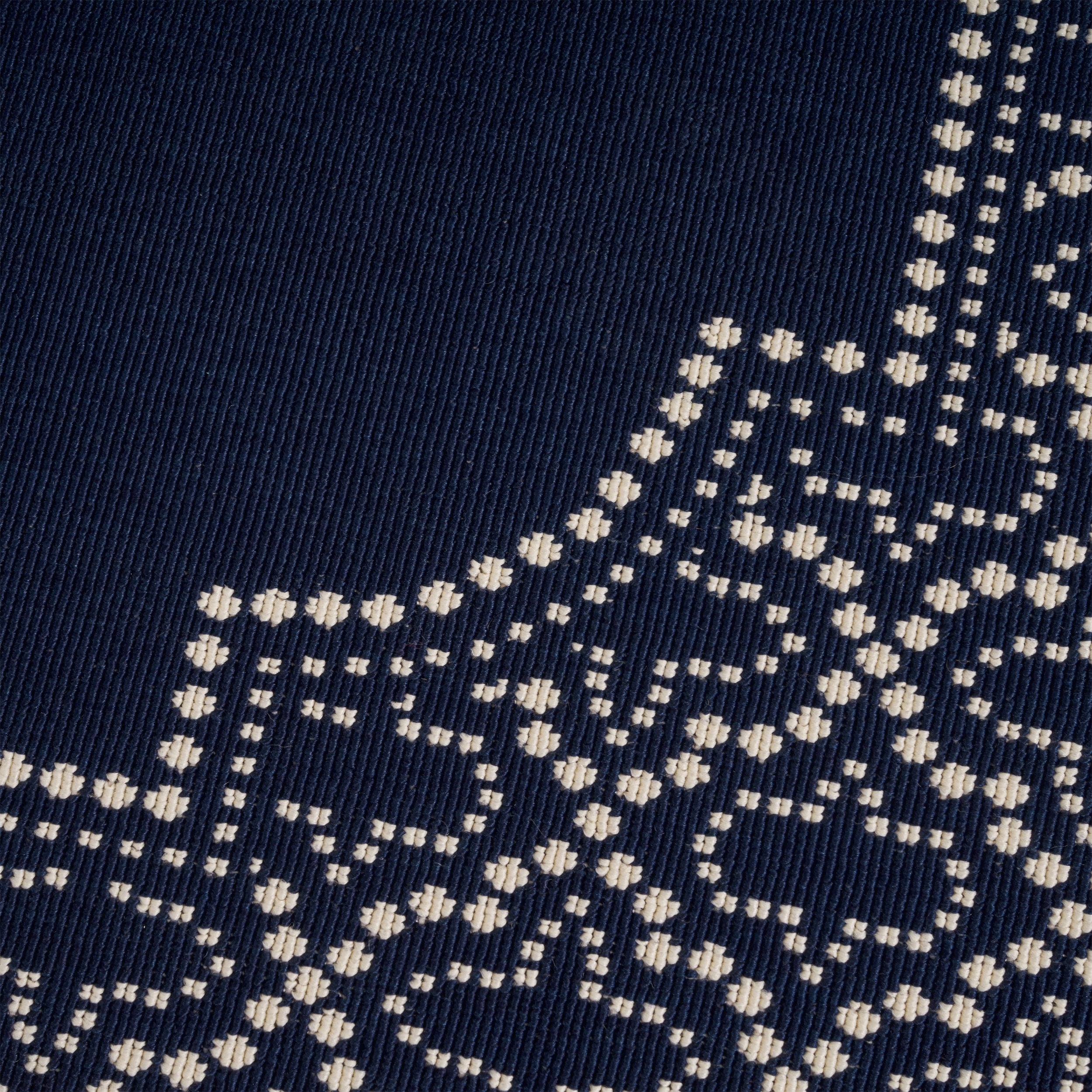 Dominga Outdoor 5'3" x 7' Border Area Rug, Navy and Ivory