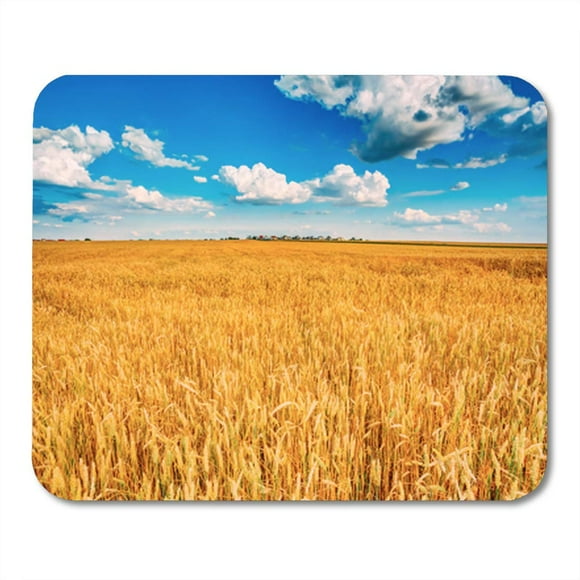 POGLIP Yellow Wheat Ears Field Cloudy Blue Sky Rich Mousepad Mouse Pad Mouse Mat 9x10 inch