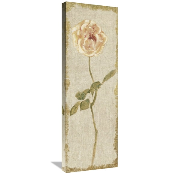 Global Gallery Cheri Blum 'Pale Rose Panel on White Vintage' Canvas Wall Art