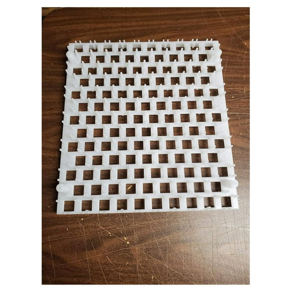 Quail Egg Trays (6 pack)