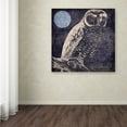 thumbnail image 4 of Trademark Fine Art "Owl 1" Canvas Art by Color Bakery, 4 of 4