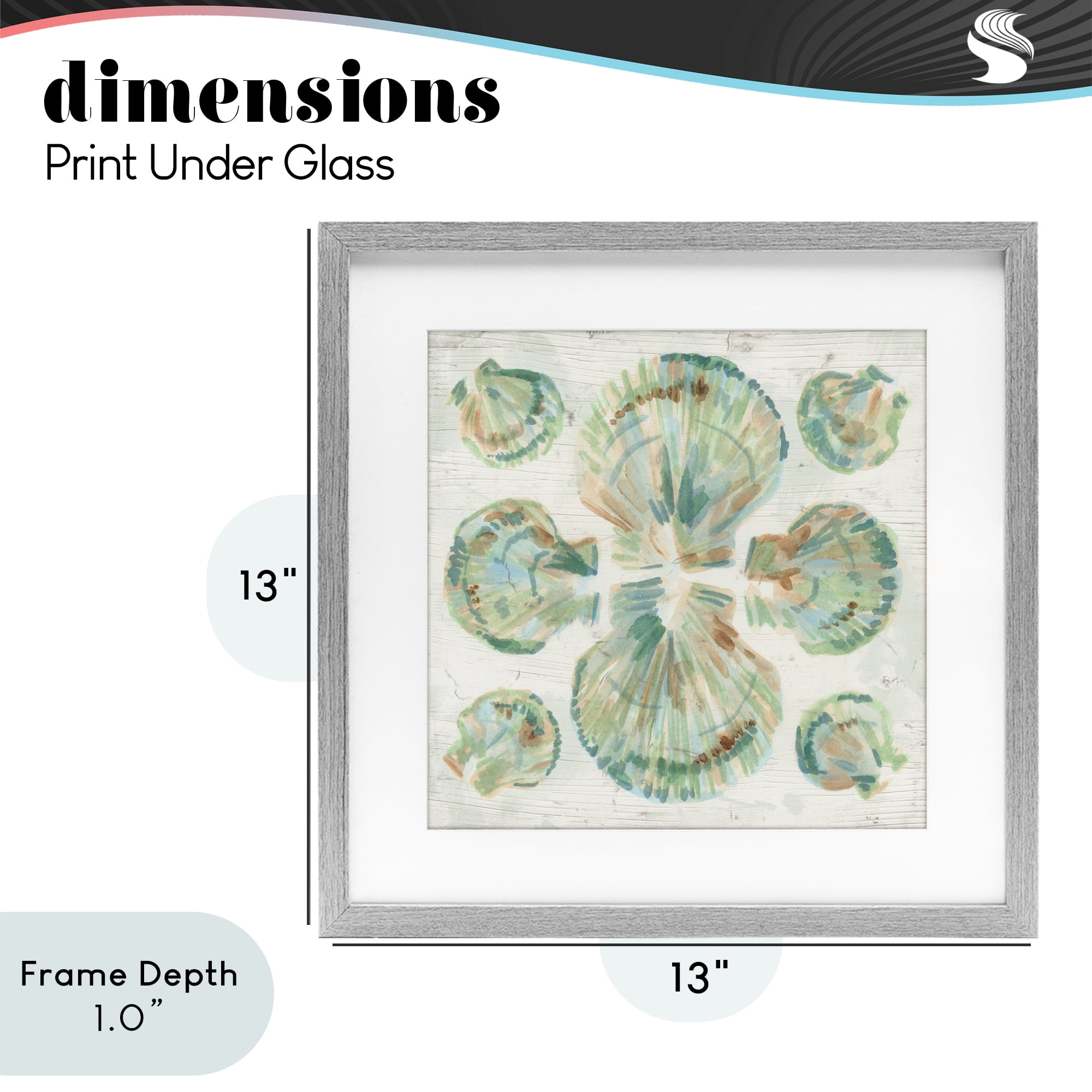 Stupell Industries Saltwashed Shells Symmetry Gray Framed Print Under Glass, design by June Erica Vess