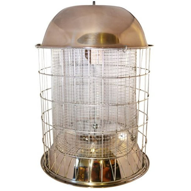 Best Grackle Squirrel Proof Bird Feeder by Bird Lovers