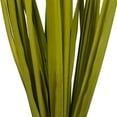 thumbnail image 3 of Vickerman 36-40" Basil Rush Grass, 7 oz Bundle, Dried, 3 of 4