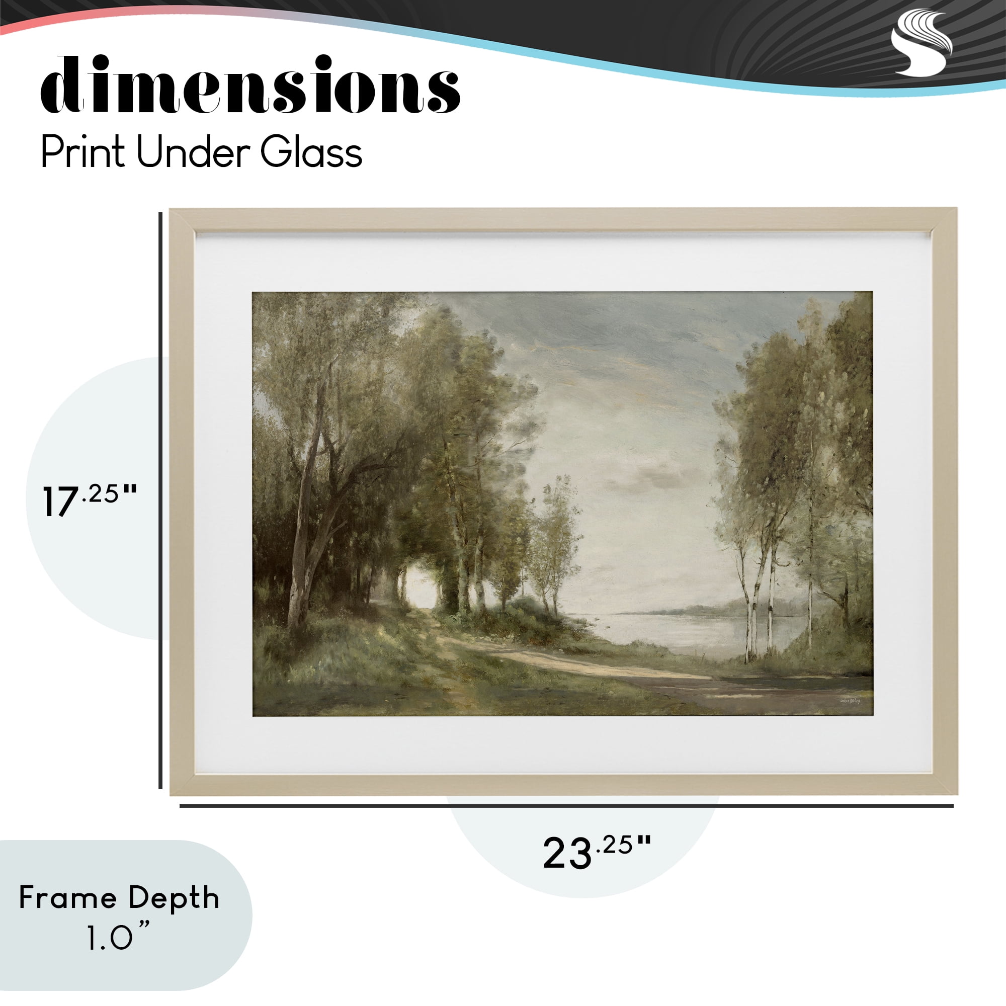Stupell Industries Tranquil Lakeside Path Birch Framed Print Under Glass, design by Amber Sterling
