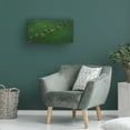 thumbnail image 3 of Canvas Wall Art - TIANQI  'Green Pearls' Wall Art for Living Room, Bedroom, or Office Décor by Trademark Fine Art - 24 x 12 Inches, 3 of 4