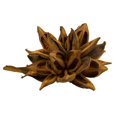 thumbnail image 1 of Vickerman H2STAX725 12-16 in. Aspen Gold Star Pods - 2XL, 1 of 1