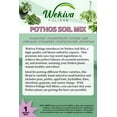 Pothos Growing Soil Mix 5 Quarts Custom Soil Blend Potting Mix for