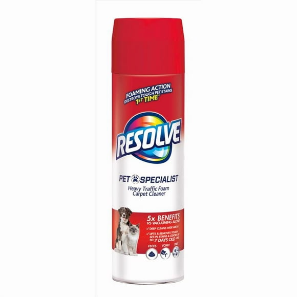 CARPET CLEANER FOAM 22OZ(Pack of 6)