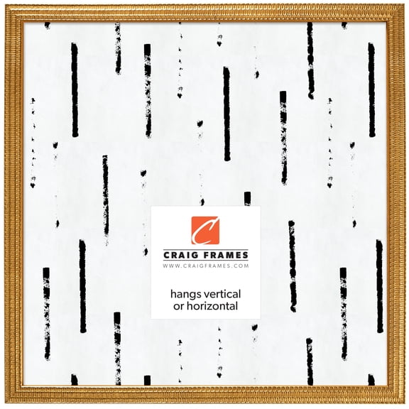 Craig Frames Farnsworth, 24x24 inch Picture Frame, Gold