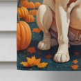 thumbnail image 4 of Carolines Treasures DAC1025CHF 40 x 28 in. White Boxer Fall House Flag, 4 of 5
