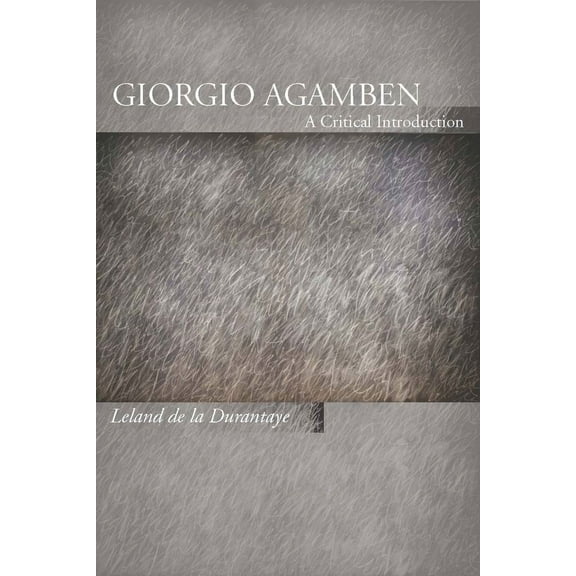 Giorgio Agamben : A Critical Introduction (Hardcover)