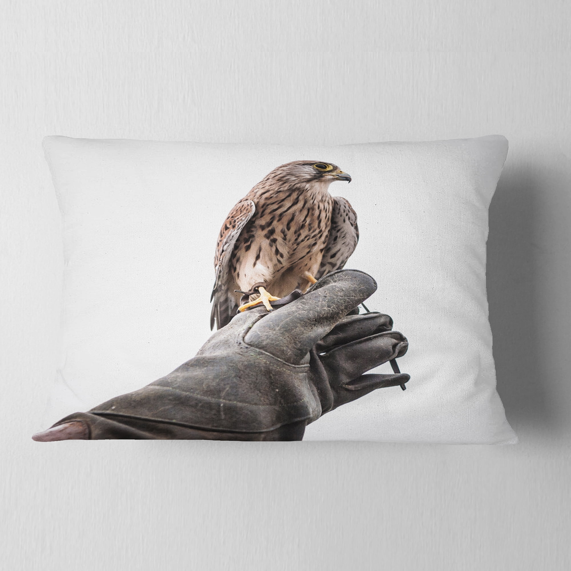 Designart Kestrel Sitting on Falconer Hand - Abstract Throw Pillow - 12x20
