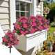 thumbnail image 1 of Adorno de suelo con flores artificiales de begonia para exteriores | Ramo de flores artificiales realista para macetas en el patio, 1 of 6