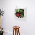 thumbnail image 2 of AURARMLET 1 Pc Artificial Succulent Plastic Picture Frame Wall Decor for Home Office Multi Color, 2 of 5