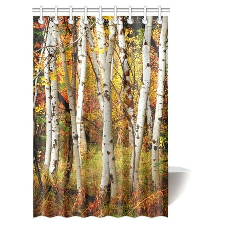 Gckg Fall Woodland Shower Curtain White Fall Birch Trees With