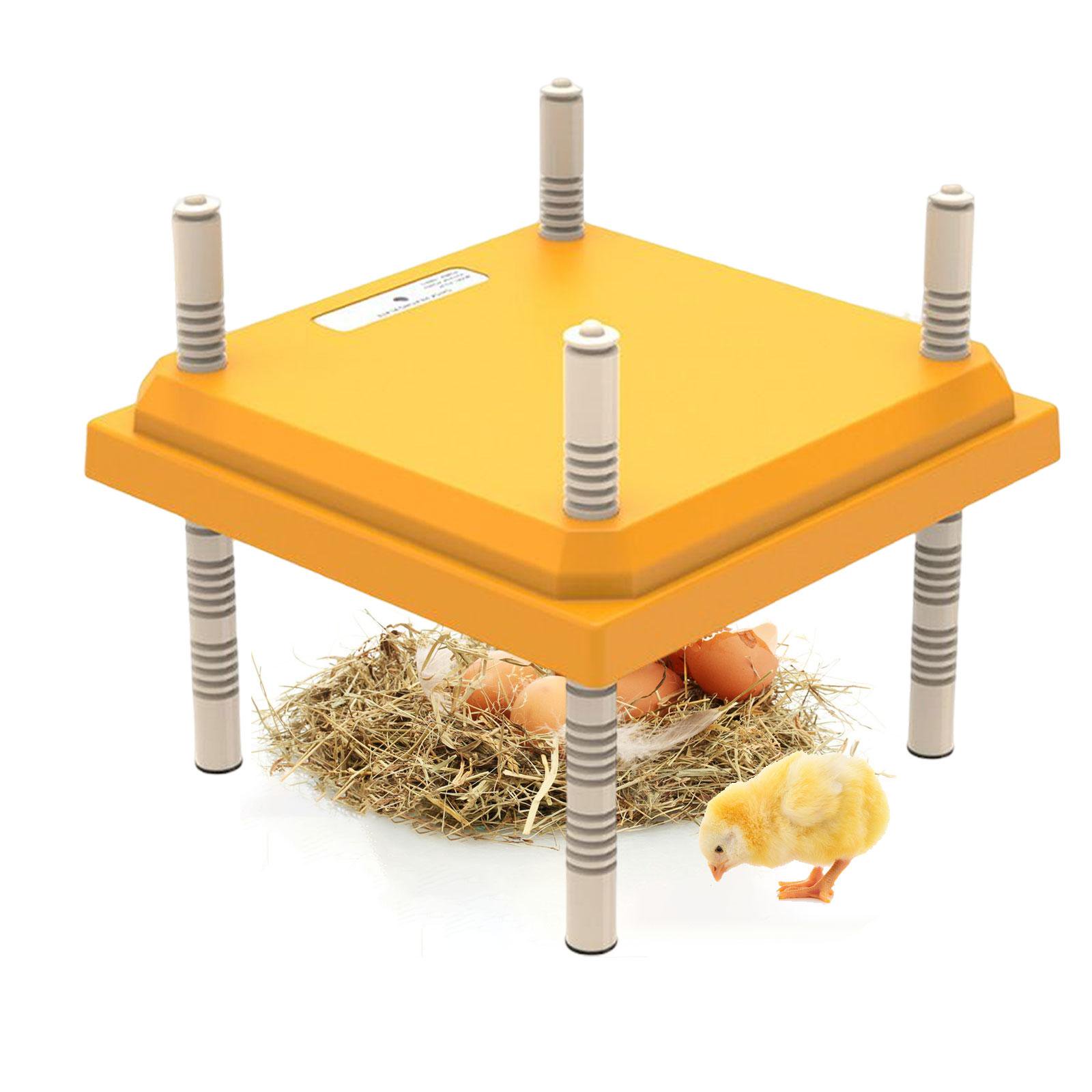 chick brooder heater,chick brooder heater heating plate thermostat,baby Chick  heater heating plate poultry,chicken coop heater chick warmer brooder plate, chick brooding heater brooder 15W Yellow | Walmart Canada