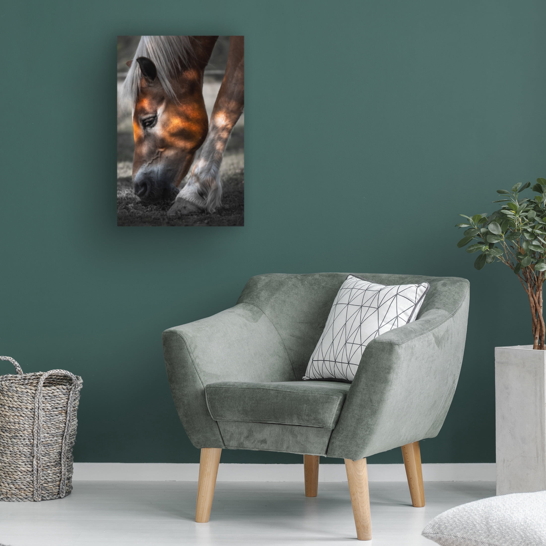 Trademark Fine Art Francis Wilson Filtered Light Canvas Wall Art