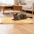 thumbnail image 4 of YaoZQ Beige Pet Floor Mat Soft Plush Absorbent Rug Non Slip Bathroom Carpet for Dog Water Bowl Muddy Paws Washable Home Decor 24 x 16 Inch, 4 of 5