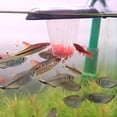 thumbnail image 3 of Réservoir de Poissons vers Rouge Tasse vers Rouge Cône d'Entonnoir d'Alimentation vers Rouge avec Ventouse d'Alimentation Tasse Anneau d'Alimentation, 3 of 5