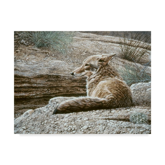 Trademark Fine Art 'Resting Coyote' Canvas Art by Ron Parker