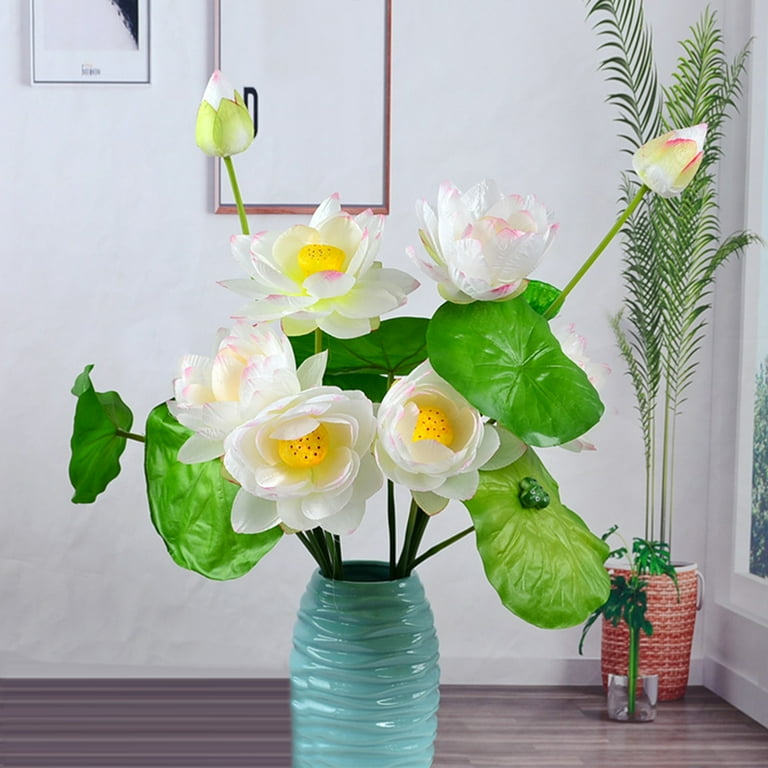 images of money tree plant Mini Money Tree main image 0