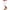 White A, variant on Timegard Womens Capri Leggings High Waisted Belly Control Slim Fitted Yoga Compression Cropped Pants