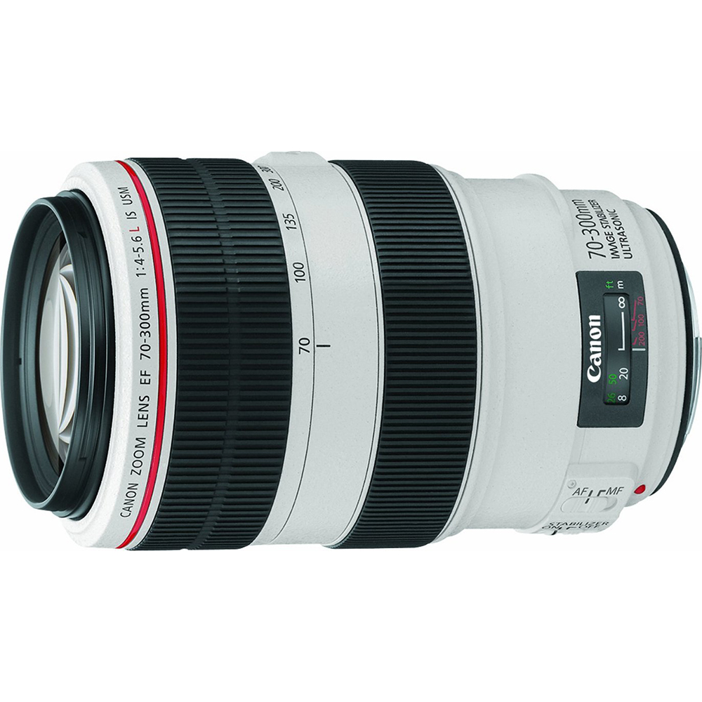 Canon EF 70-300mm f/4-5.6L is USM Telephoto Zoom Lens Exclusive Pro Kit - image 3 of 3