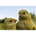 thumbnail image 2 of Hi-Line Gift Ltd. Playful Chicks Garden Statue, 2 of 4